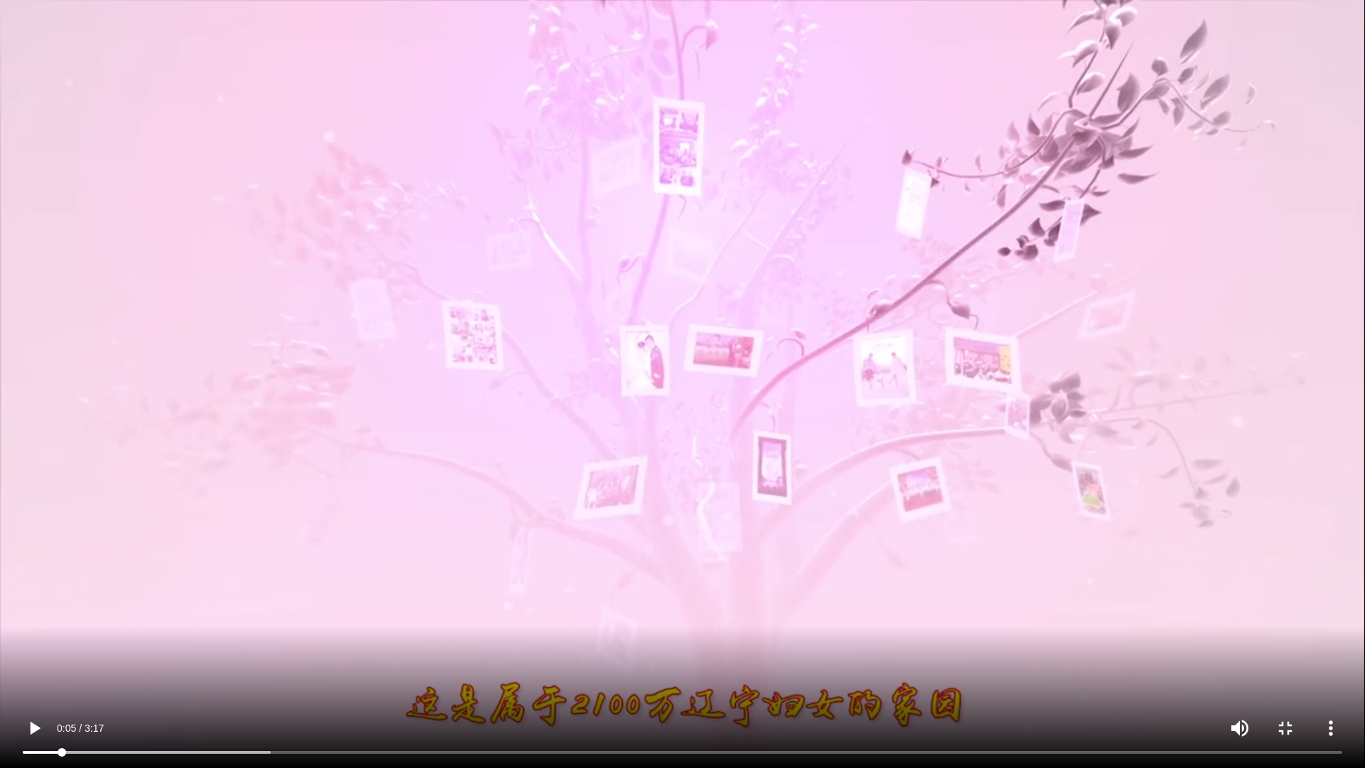 传承红色基因 宣讲辽沈故事_作品展播_潘朔端